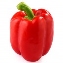 Bell Pepper