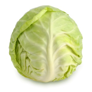 Cabbage
