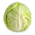 Cabbage