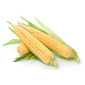 Corn