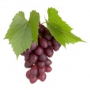 Grape