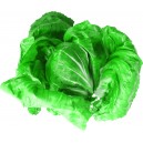 Lettuce Iceberg