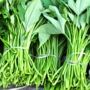 Potato Greens