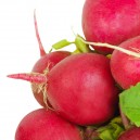 Radish