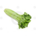 Celery