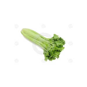 Celery
