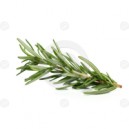 Rosemary
