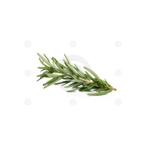 Rosemary