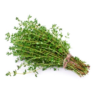 Thyme