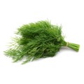 Dill